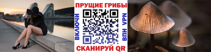 Псилоцибиновые грибы GOLDEN TEACHER  закладки  дарк нет клад  Когалым 